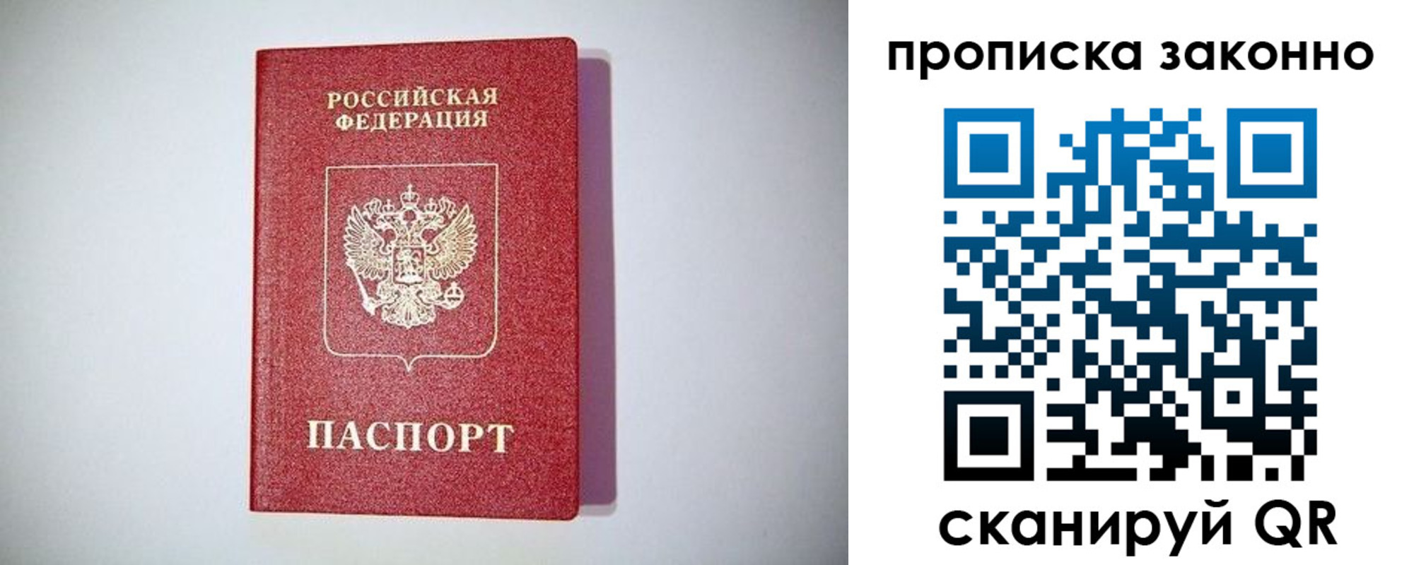 прописка для школы в Александровске
