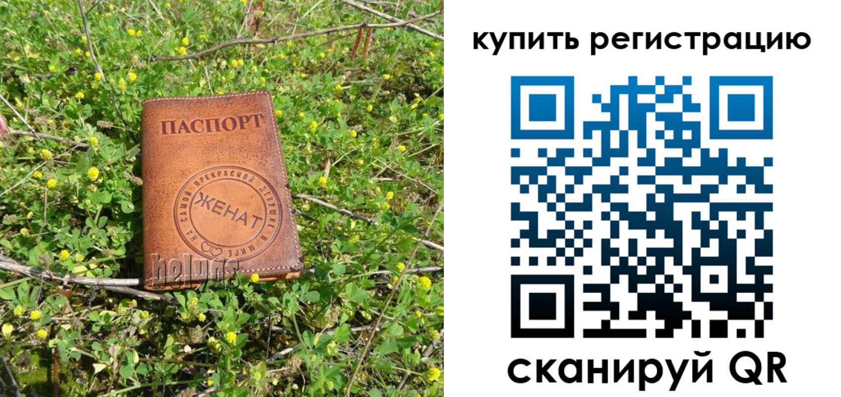 регистрация для дет. сада в Александровске